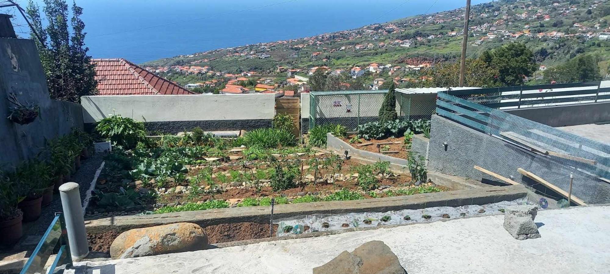 De Paz * Calheta (Madeira)